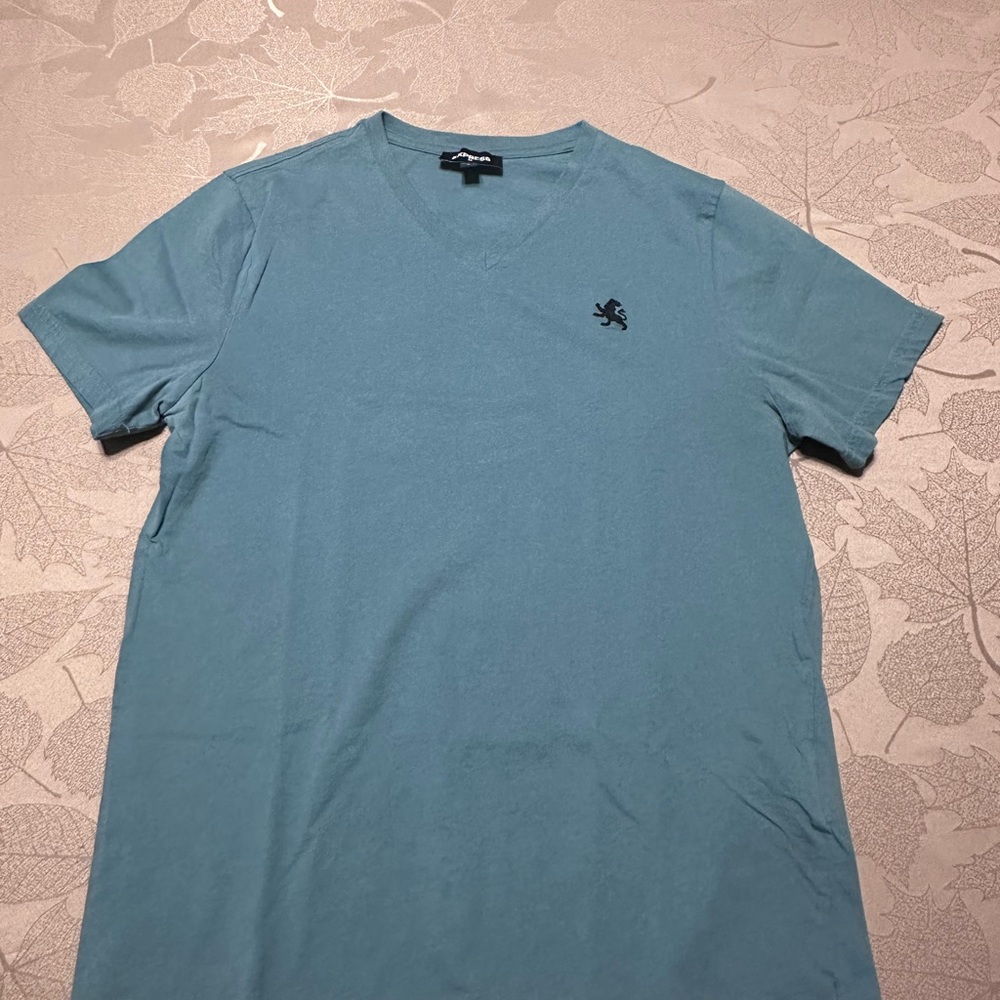 Express Tshirt Mens Medium